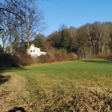 Ahlberg Ferienhaus Mariendorf  Extérieur photo